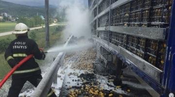 seyir halindeki limon yüklü tır Aracında yangın