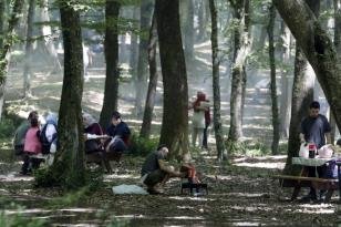 İstanbul Belgrad Ormanı, vatandaşların ilgi odağı oldu