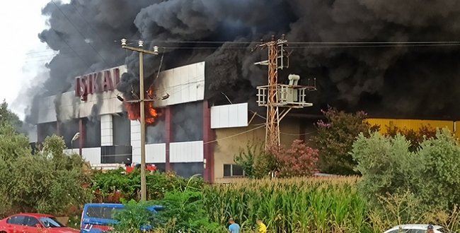 Manisa’da mobilya fabrikasında yangın