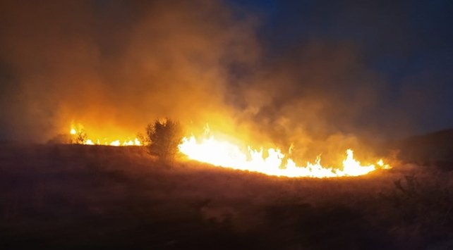 Ankara’da orman yangını