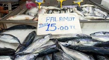 Palamut fiyatlarında ‘rüzgar’ artışı