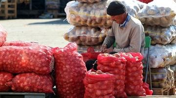 Soğanlar depolarda çürüyor: Sebebi ise…