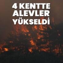 Edirne, İzmir, Bursa ve Balıkesir’de orman yangını